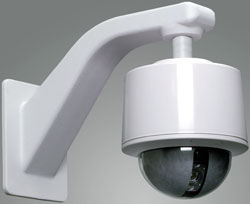 Vicon 2000